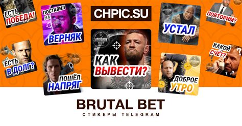 brutal bet ставки